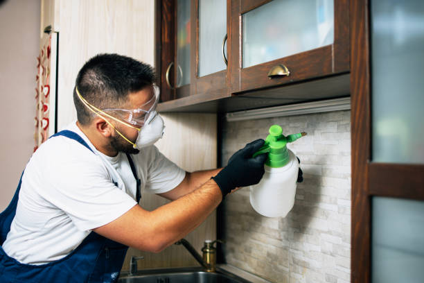 Best Affordable Pest Control Services  in Cumberland, MD