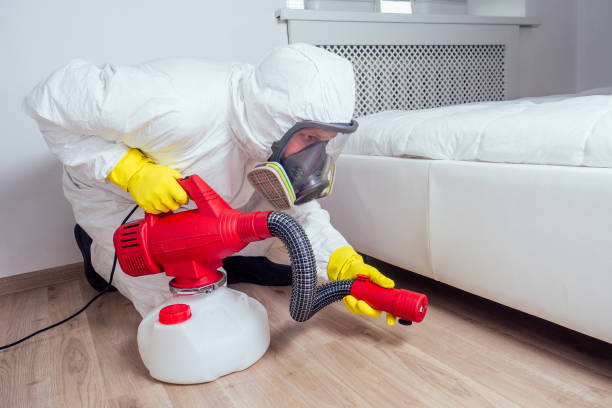 Best Flea Control Services  in Cumberland, MD