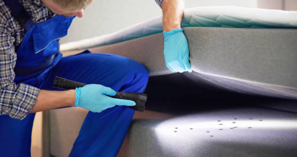 Best Pest Inspection Near Me  in Cumberland, MD