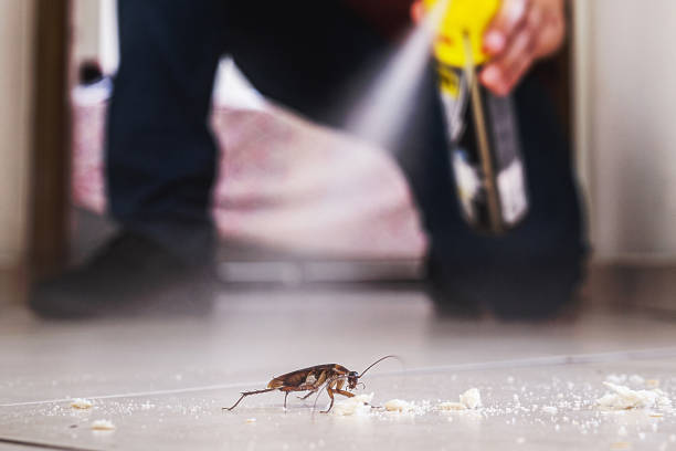 Best Best Pest Control Companies  in Cumberland, MD